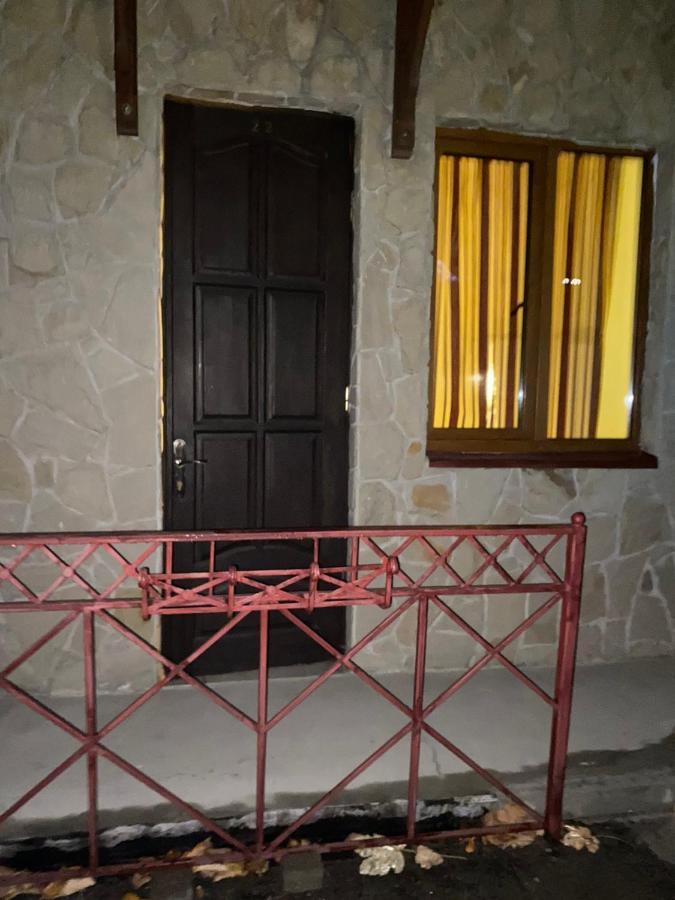 Patkovski بوكوفِل المظهر الخارجي الصورة
